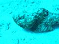 Unter Wasser (18)
